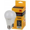 Эра Лампочка светодиодная Kodak LED KODAK A60-15W-840-E27 E27 / Е27 15Вт груша Б0057609