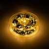 Эра Светодиодная новогодняя гирлянда ENIN-1000G нить теплый свет 100 м 1000 microLED IP44 220В Б0060427