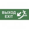 Эра INFO-SSA-109 ЭРА Самоклеющая этикетка Выход/лестница вниз/фигура SSA-101 Б0048478