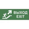 Эра INFO-SSA-110 ЭРА Самоклеющая этикетка Выход/лестница вверх/фигура SSA-101 Б0048479