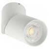 Эра Светильник настенно-потолочный спот OL18 WH MR16/GU10, белый Б0054386
