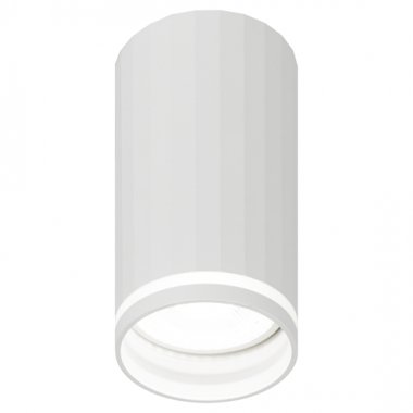 Фотография товара 'Эра Светильник настенно-потолочный спот OL42 WH MR16 GU10 IP20 белый Б0058487'