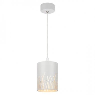 Фотография товара 'Эра Светильник подвесной (подвес) PL30 WH цоколь GX53 потолочный цилиндр Б0061409'