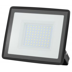 Фотография товара 'Эра Прожектор светодиодный уличный LPR-023-0-65K-100 100Вт 6500K 8000Лм Б0052026'