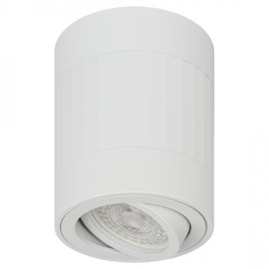 Фотография товара 'Эра Светильник настенно-потолочный спот OL34 WH MR16 GU10, белый Б0056382'