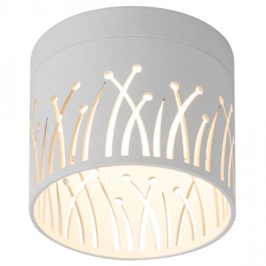 Фотография товара 'Эра Светильник настенно-потолочный спот OL54 WH под лампу GX53 белый Б0061191'