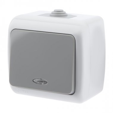 Фотография товара 'Эра Выключатель Intro Atlantic 5-102-03 с подсветкой, 10А-250В, IP54, открытой установки, серый Б0050941'