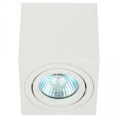 Фотография товара 'Эра Светильник настенно-потолочный спот ЭРА OL22 WH MR16/GU10, белый, поворотный Б0054394'
