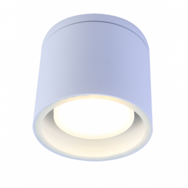 Фотография товара 'Эра Светильник настенно-потолочный спот ЭРА WL40 WH GX53, белый, IP54 Б0054415'