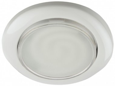 Фотография товара 'ЭРА SPO-1-50-6K-M Светильник светодиодный'