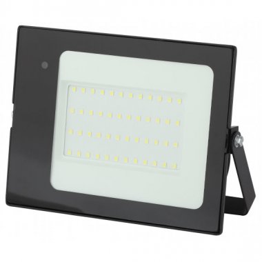 Фотография товара 'Эра Прожектор светодиодный уличный 50Вт 3500Лм 6500К Б0043576'