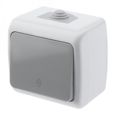 Фотография товара 'Эра Переключатель Intro Atlantic 5-103-03 10А-250В, IP54, открытой установки, серый Б0050942'