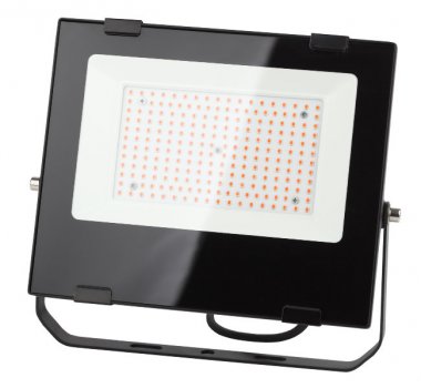 Фотография товара 'Эра Прожектор красно-синего спектра FITO-100W-RB-LED Б0046369'