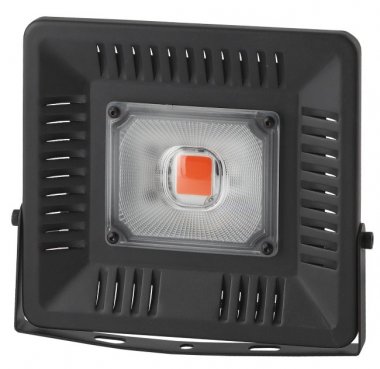 Фотография товара 'Эра Прожектор Прожектор красно-синего спектра FITO-50W-LED BLUERED Б0039033'