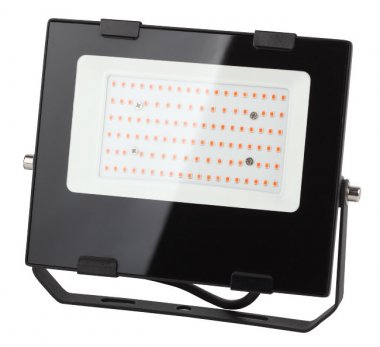 Фотография товара 'Эра Прожектор красно-синего спектра FITO-50W-RB-LED Б0046368'