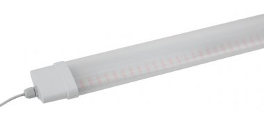 Фотография товара 'Эра Линейный светильник красно-синего спектра FITO-36W-RB-N Б0045697'