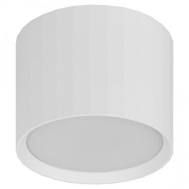 Фотография товара 'Эра Светильник настенно-потолочный спот OL39 WH под GX53 IP20 белый Б0056389'