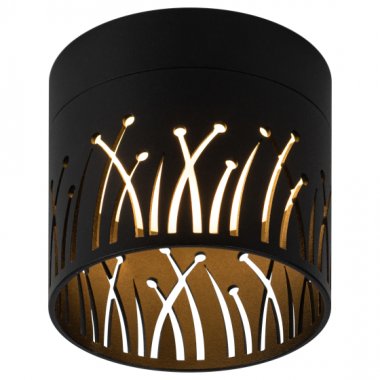 Фотография товара 'Эра Светильник настенно-потолочный спот OL54 BK под лампу GX53 черный Б0061192'