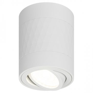 Фотография товара 'Эра Светильник настенно-потолочный спот OL33 WH MR16 GU10 IP20 белый Б0056379'