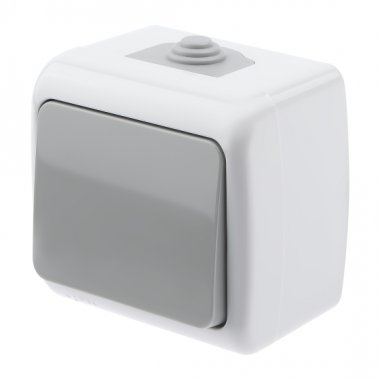 Фотография товара 'Эра Выключатель Intro Atlantic 5-101-03 10А-250В, IP54, открытой установки, серый Б0050940'