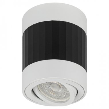 Фотография товара 'Эра Светильник настенно-потолочный спот OL34 WH/BK MR16 GU10, черный, белый Б0056383'