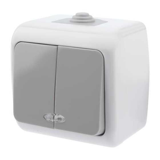 Фотография товара 'Эра Выключатель Intro Atlantic 5-105-03 двойной с подсветкой, 10А-250В, IP54, открытой установки, серый Б0050944'