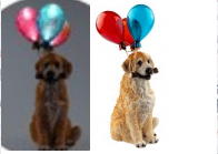 Фотография товара 'Эра Садовый светильник Золотистый ретривер щенок на солнечной батарее Б0053357'