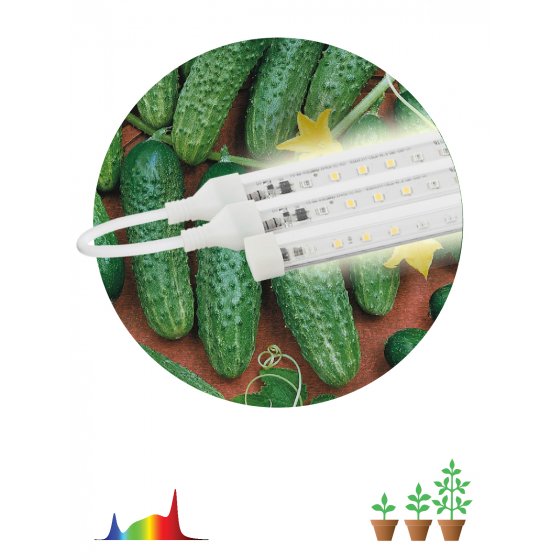 Фотография товара 'Эра Модульный светильник для растений FITO-3х10W-LINE-Ra90 Б0049315'