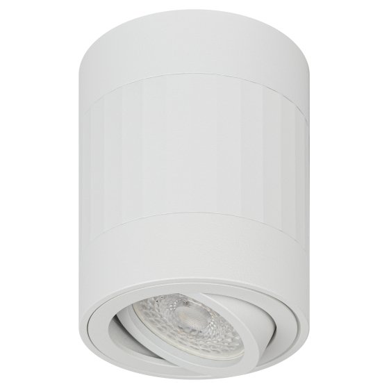 Фотография товара 'Эра Светильник настенно-потолочный спот OL34 WH MR16 GU10, белый Б0056382'