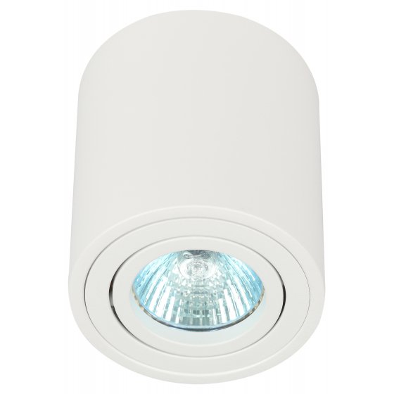 Фотография товара 'Эра Светильник настенно-потолочный спот ЭРА OL21 WH MR16/GU10, белый, поворотный Б0054392'