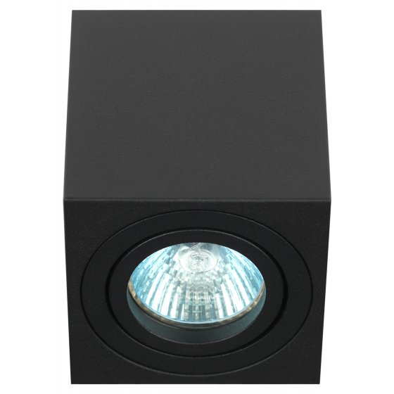 Фотография товара 'Эра Светильник настенно-потолочный спот ЭРА OL22 BK MR16/GU10, черный, поворотный Б0054395'