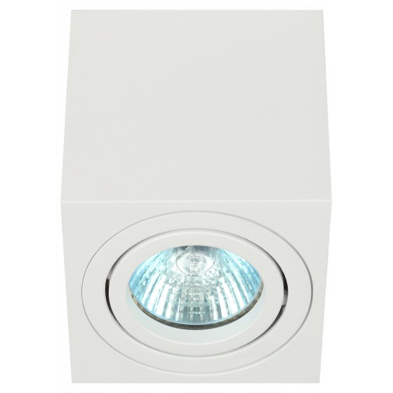 Фотография товара 'Эра Светильник настенно-потолочный спот ЭРА OL22 WH MR16/GU10, белый, поворотный Б0054394'