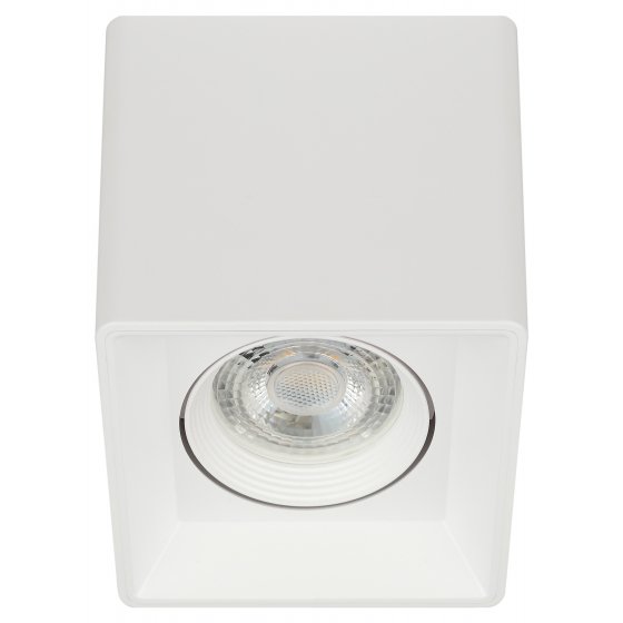 Фотография товара 'Эра Светильник настенно-потолочный спот ЭРА OL24-1 WH MR16/GU5.3, белый, поворотный Б0054381'