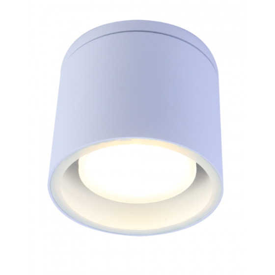 Фотография товара 'Эра Светильник настенно-потолочный спот ЭРА WL40 WH GX53, белый, IP54 Б0054415'