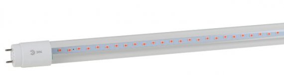 Фотография товара 'Эра Лампа красно-синего спектра FITO-18W-RB-Т8-G13-NL Б0042990'