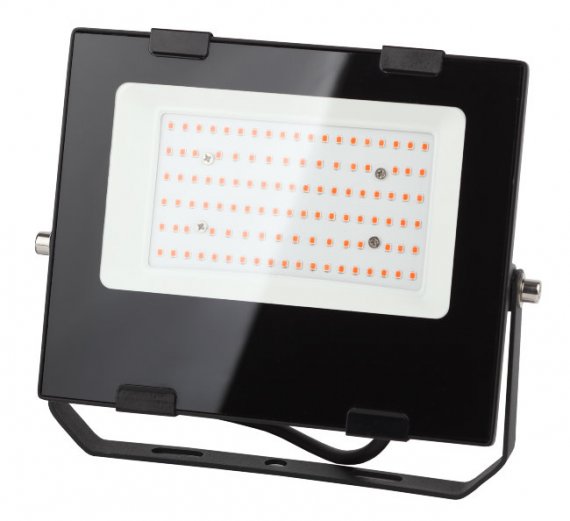 Фотография товара 'Эра Прожектор красно-синего спектра FITO-50W-RB-LED Б0046368'