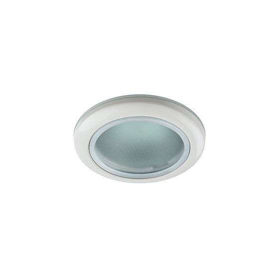 Фотография товара 'Эра Светильник WR1 WH влагозащищенный MR16,12V/220V, 50W белый Б0005214'