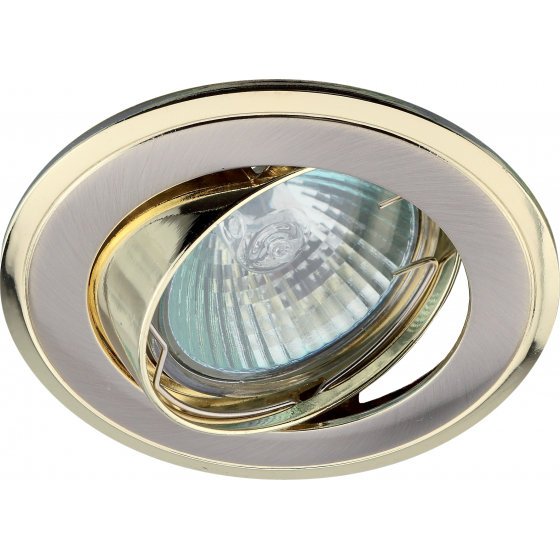 Фотография товара 'Эра Светильник KL22 А SN/G литой поворотный двойной контур MR16,12V/220V, 50W сатин никель/золотоC0043708'