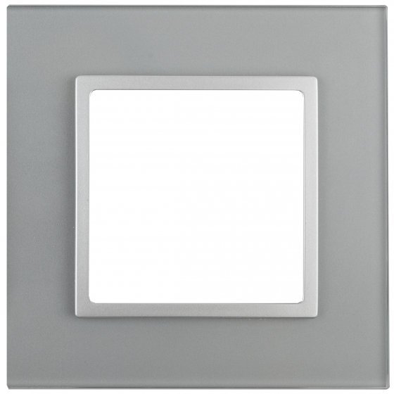 Фотография товара 'Эра Рамка на 1 пост, стекло, Эра Elegance, алюминий+алюм Б0034472'