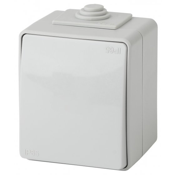 Фотография товара 'Эра Выключатель IP65, 10АХ-250В, ОУ, Эра Эксперт, серый Б0035972'