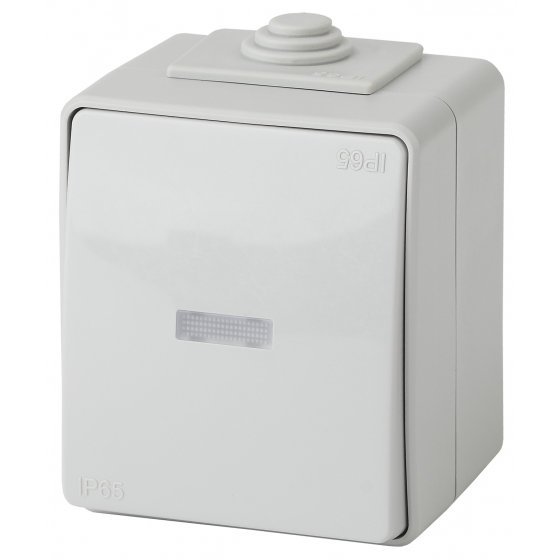 Фотография товара 'Эра Переключатель с подсветкой IP65, 10АХ-250В, ОУ, Эра Эксперт, серый Б0035981'