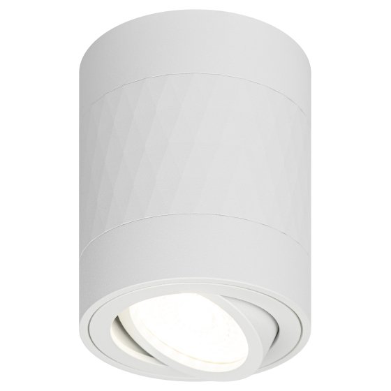 Фотография товара 'Эра Светильник настенно-потолочный спот OL33 WH MR16 GU10 IP20 белый Б0056379'