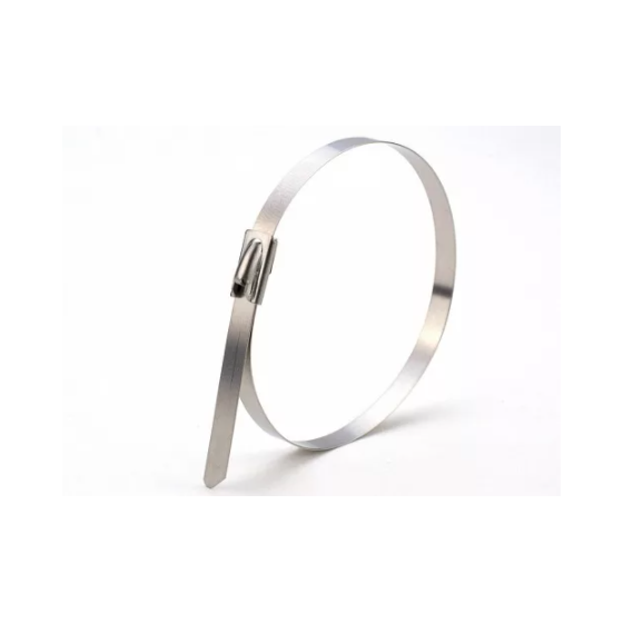 Фотография товара 'Эра Хомут из нержавеющей стали 7,9х400, Б0051725'