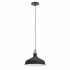 Фотография товара 'Эра Подвес PL2 BK/RC металл, E27, max 60W, d300 мм Б0037413'