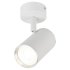 Фотография товара 'Эра Светильник настенно-потолочный спот OL35 WH MR16 GU10 IP20 белый, хром Б0056363'