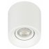 Фотография товара 'Эра Светильник настенно-потолочный спот ЭРА OL25-1 WH MR16/GU5.3, белый, поворотный Б0054383'