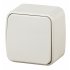Фотография товара 'Эра Выключатель Intro Polo 3-101-02 одноклавишный 10A-250В, IP20, ОУ, сл.кость Б0053526'