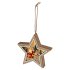 Фотография товара 'Эра Светильник ENGDS-4L новогодний светодиодный Звездочка подвесной 15 см 2*АА Б0060478'