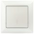 Фотография товара 'Эра Переключатель Intro Solo 4-103-06 одноклавишный 10А-250В, IP20, СУ, перламутр Б0053582'