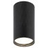 Фотография товара 'Эра Светильник настенно-потолочный спот OL31 BK MR16 GU10 IP20 черный Б0056374'